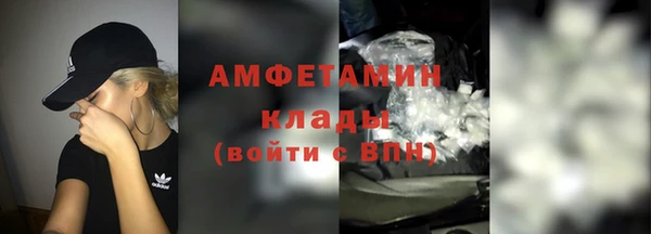 шишки Медногорск