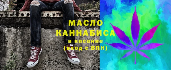 крисы Корсаков