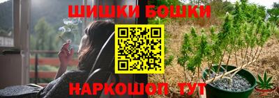 гидра Гай