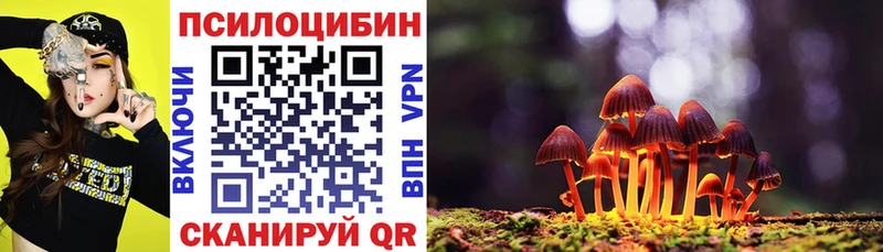 Псилоцибиновые грибы GOLDEN TEACHER  KRAKEN ONION  Кувандык 