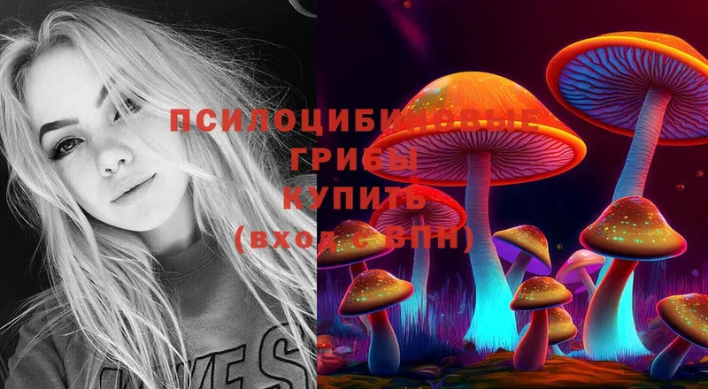 Галлюциногенные грибы Psilocybine cubensis  мега маркетплейс  Кувандык  продажа наркотиков 