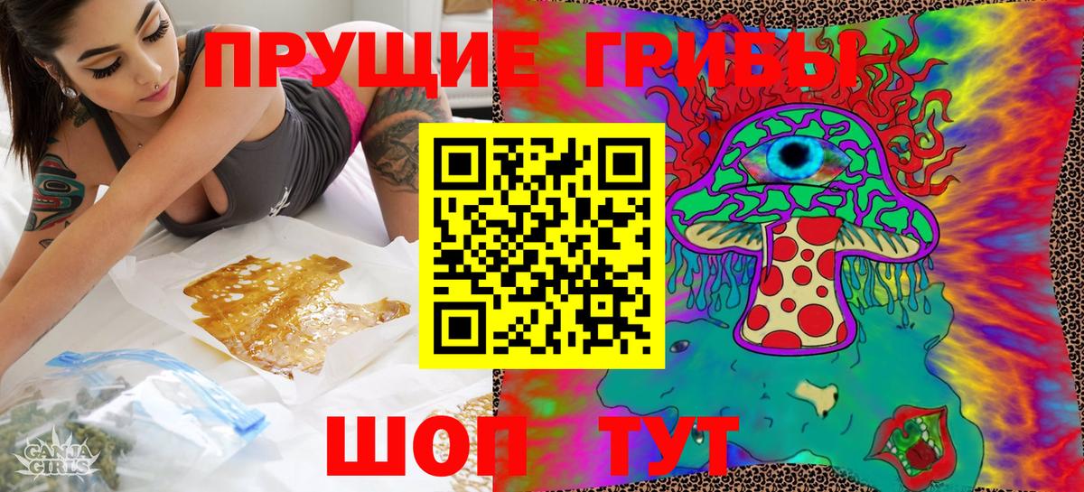 Галлюциногенные грибы Psilocybine cubensis  Галлюциногенные грибы Magic Shrooms  Кувандык 