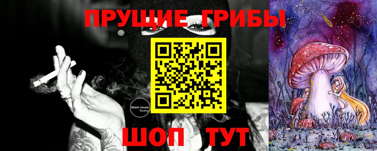 Галлюциногенные грибы Psilocybine cubensis Кувандык