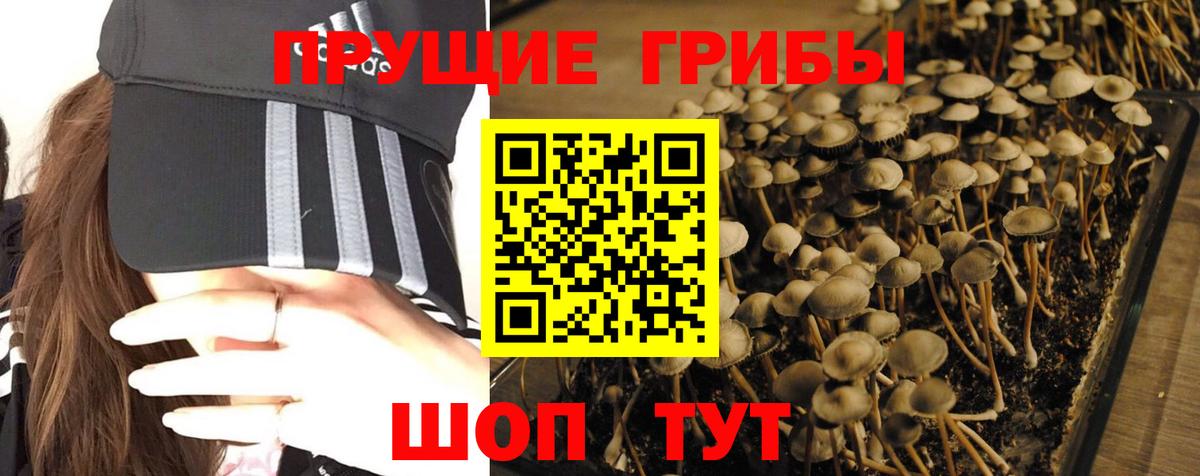 Галлюциногенные грибы прущие грибы Кувандык